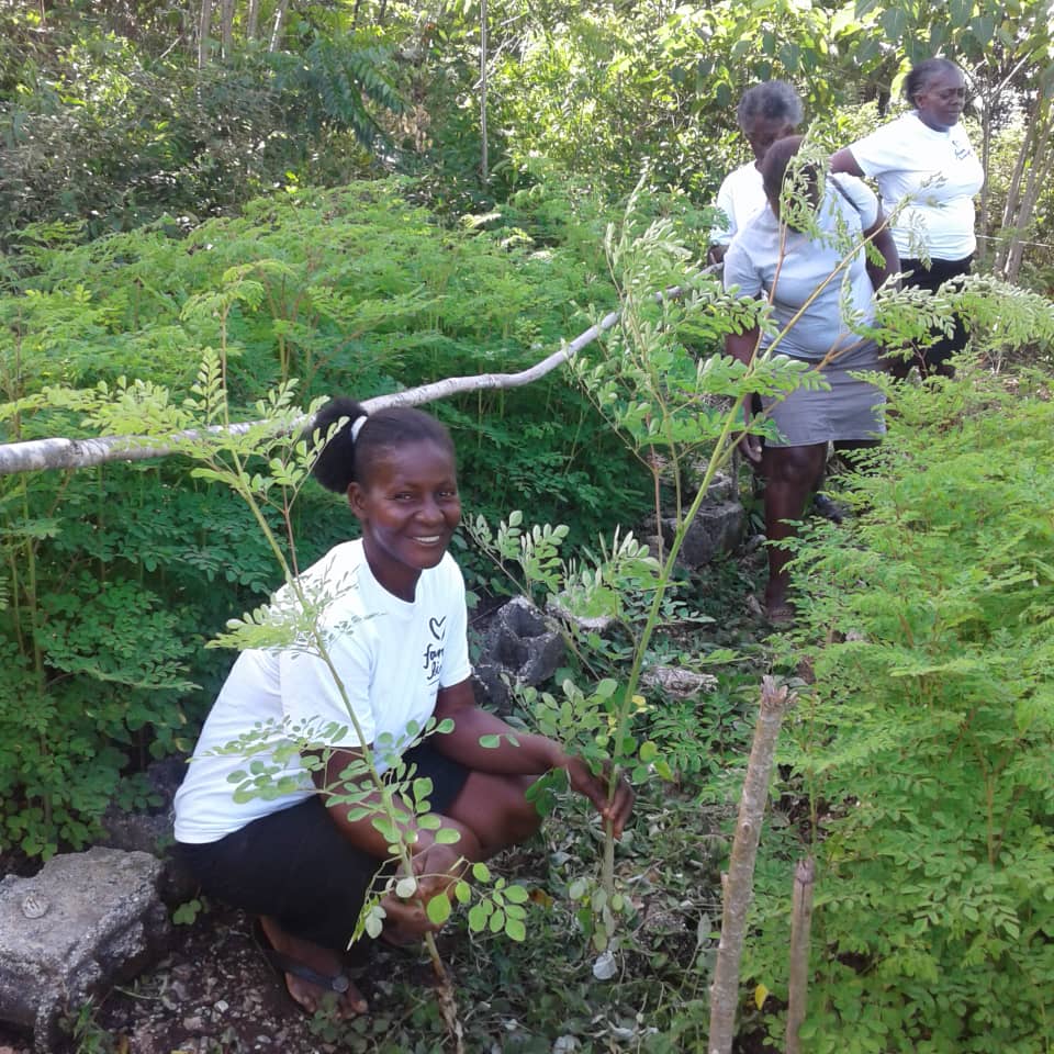 Plant a Tree